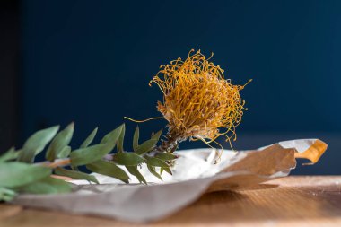 Koyu mavi bir duvara karşı bir masanın üzerinde kahverengi bir kağıt üzerinde kurumuş parlak sarı protea.