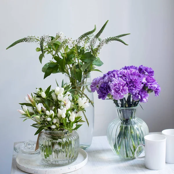 Grote Gele Gentiaan Gentiana Lutea Een Gentiaan Uit Het Geslacht — Stockfoto