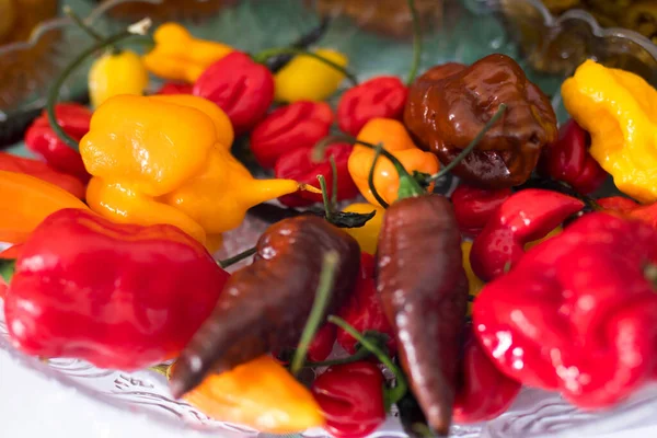 Různé Druhy Horké Žluté Červené Hnědé Papriky Misce Pro Stolní — Stock fotografie