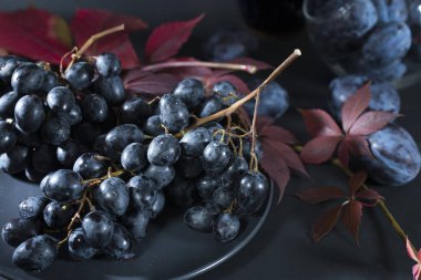 Mavi üzümler, siyah erikler ve kırmızı üzüm yaprakları.