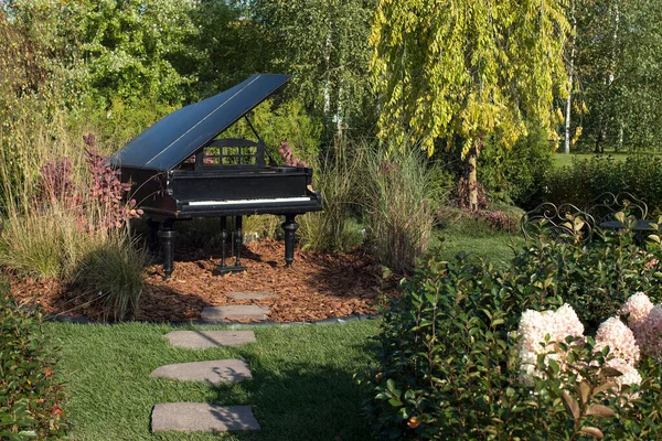 Piano Noir Dans Les Buissons Dans Jardin Envahi Pour Des — Photo