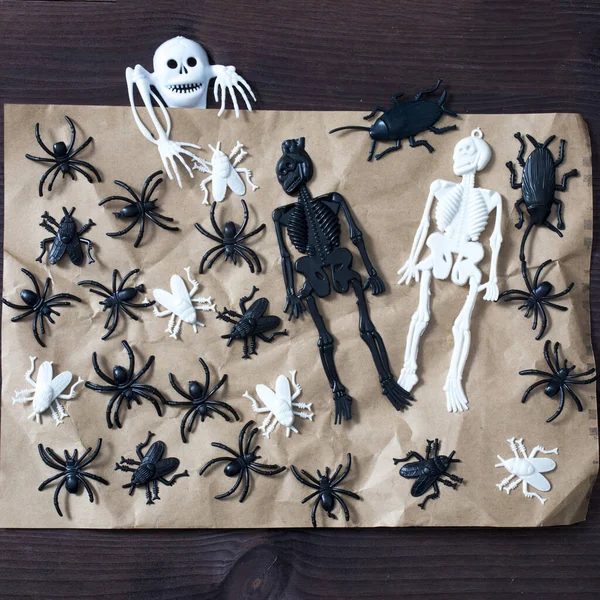 塑料黑色骨骼 白色苍蝇和蟑螂 甲虫在棕色木制纹理背景 正方形框 — 图库照片