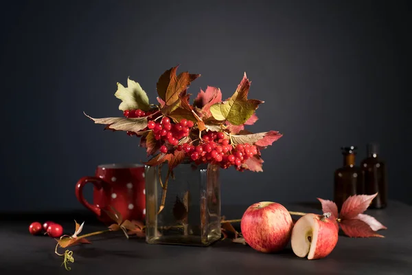 Bouquet Branches Viorne Rouge Avec Des Baies Mûres Dans Vase — Photo