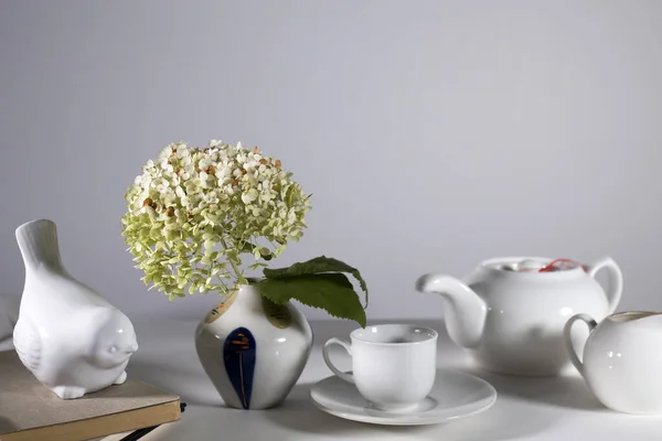 Белый Чайник Чашка Блюдце Молочный Кувшин Питья Чая Зеленые Высушенные — стоковое фото