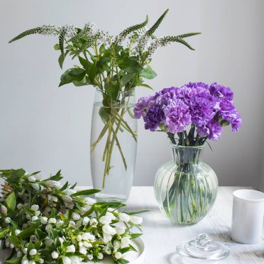 Gentiana lutea, Orta ve Güney Avrupa 'nın dağlarında yetişen bir tür. Beyazda izole edilmiş