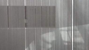 The camera moves along transparent gray threads with shadows from the sun.