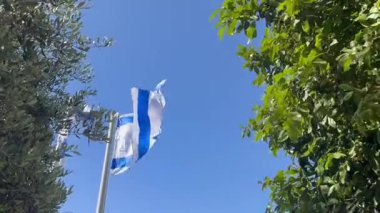 The Israeli flag flutters between trees against the blue sky.