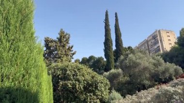 Selvi ağaçları, budanmış boxwood çalıları ve tepedeki bir parkta Salvia löcophylla ile iyi korunmuş manzara..