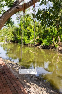 palmiye ağacı üzerinde salıncak 