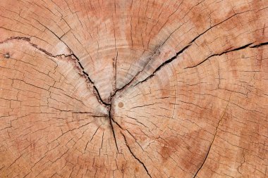 Eski ahşap doku, vintage doğal 