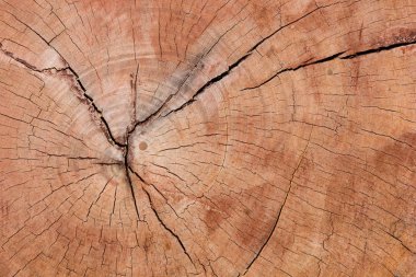 Eski ahşap doku, vintage doğal 