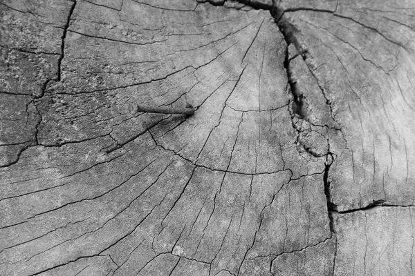 Old wood texture, vintage natural — Stock Photo, Image