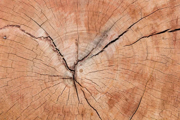 Eski ahşap doku, vintage doğal 