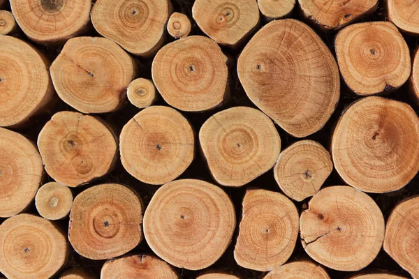 Holzstruktur, Jahrgang — Stockfoto