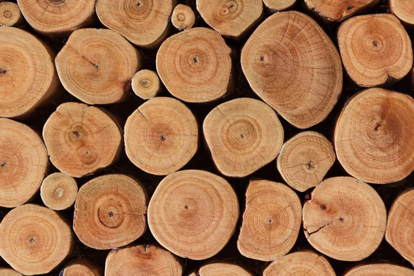 Holzstruktur, Jahrgang — Stockfoto