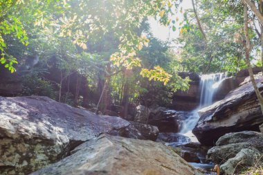 Yağmur ormanlarında tropik şelale, Doğa