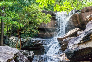 Yağmur ormanlarında tropik şelale, Doğa