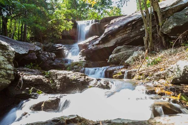 Yağmur ormanlarında tropik şelale, Doğa