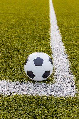 İşaretli ve toplu futbol çim sahası, Spor
