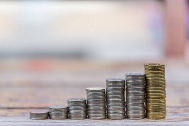 Gölette güzel bir nilüfer çiçeği