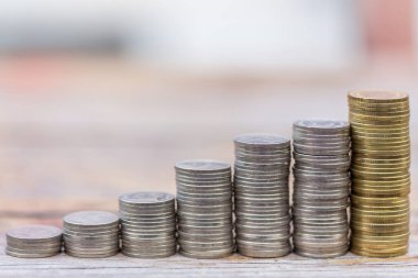 Gölette güzel bir nilüfer çiçeği