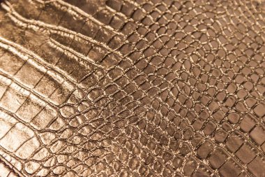 yılan derisi siyah renkli