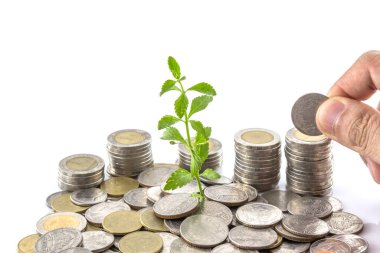 El, bozuk para yığınına bozuk para ve beyaz arkaplanda büyüyen ağaçlar koydu.