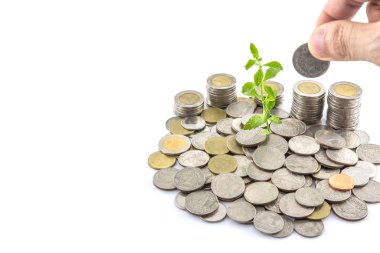 El, bozuk para yığınına bozuk para ve beyaz arkaplanda büyüyen ağaçlar koydu.