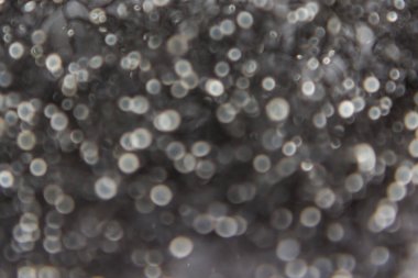 Bokeh soyut ışık arkaplanı