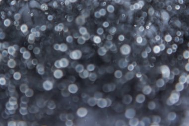 Bokeh soyut ışık arkaplanı