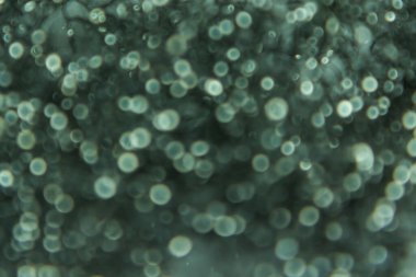 Bokeh soyut ışık arkaplanı