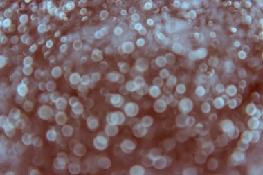 Bokeh soyut ışık arkaplanı