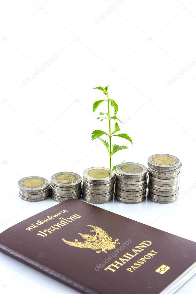 trees growing on coins with passport, Money