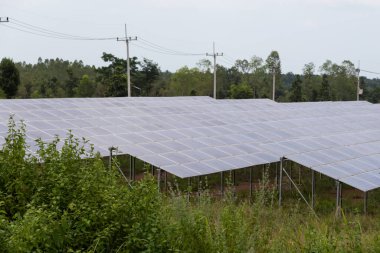 Güneş enerjisi panelleri, güneş çiftlikleri.