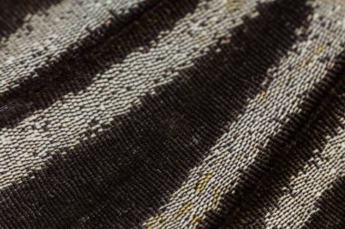 Kelebek kanat deseni arkaplanı