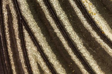 Kelebek kanat deseni arkaplanı