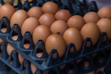 Yumurtalar yumurta kutusunda.