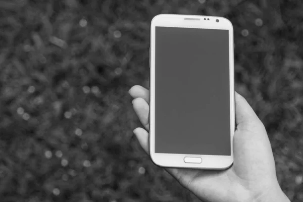 Manos Femeninas Usando Teléfono Inteligente Fondo Naturaleza Verde — Foto de Stock