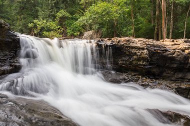 Güzel yeşil şelale suyu hareket ediyor.