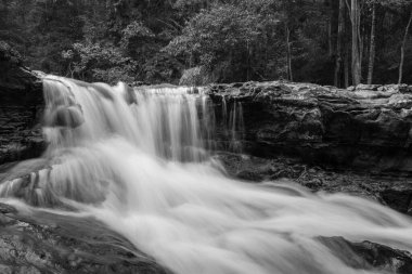 Güzel yeşil şelale suyu hareket ediyor.