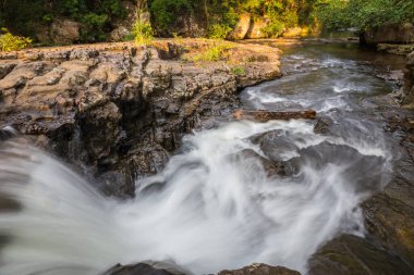Orman şelalesi doğa geçmişi
