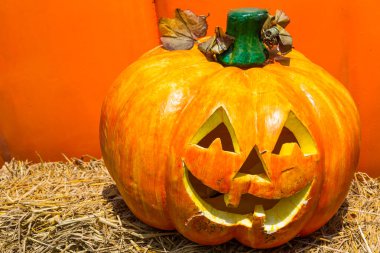 Bulanık suratlı ürkütücü balkabağı