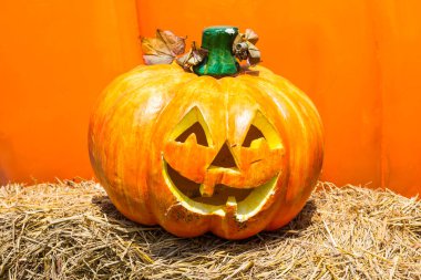 Bulanık suratlı ürkütücü balkabağı