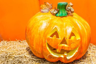 Bulanık suratlı ürkütücü balkabağı