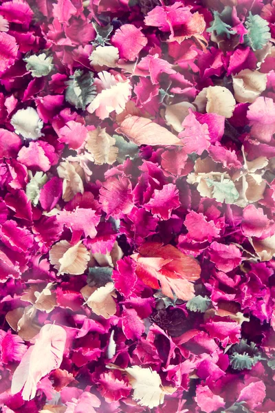 Flores Secas Fondo Hoja Rosa — Foto de Stock