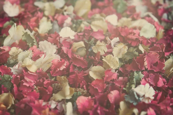 Gedroogde Bloemen Bladeren Achtergrond Rose — Stockfoto