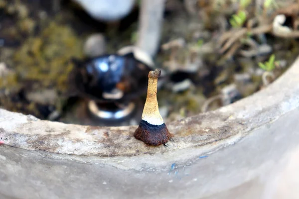 Dua için tütsü çubuğu