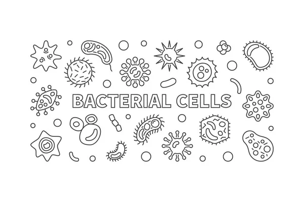 Bakterienzellen horizontale Banner. Vektorskizze Illustration — Stockvektor