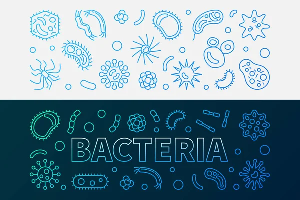 Бактерии микробиологии яркие линейные баннеры - векторная иллюстрация — стоковый вектор