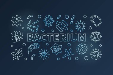 Bakteri mavi çizgi afiş. Vektör Mikrobiyoloji çizim